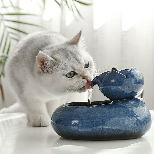 Cat feeder water feeder